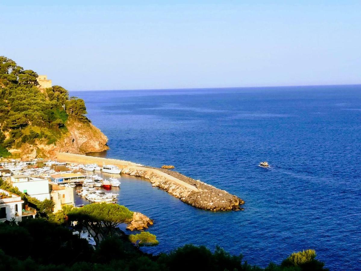 马萨鲁布朗斯The Lookout Of Pipiano别墅 外观 照片